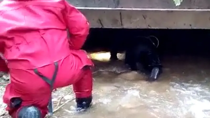 Po tyiasedmdestilet seniorce z Oskavy, kterou nikdo nevidl od nedlnch bleskovch Policie hled nsilnky, kte zbili mue v metru. enu, kter zmizela pi povodnch v Oskav, hledaj i potpi
